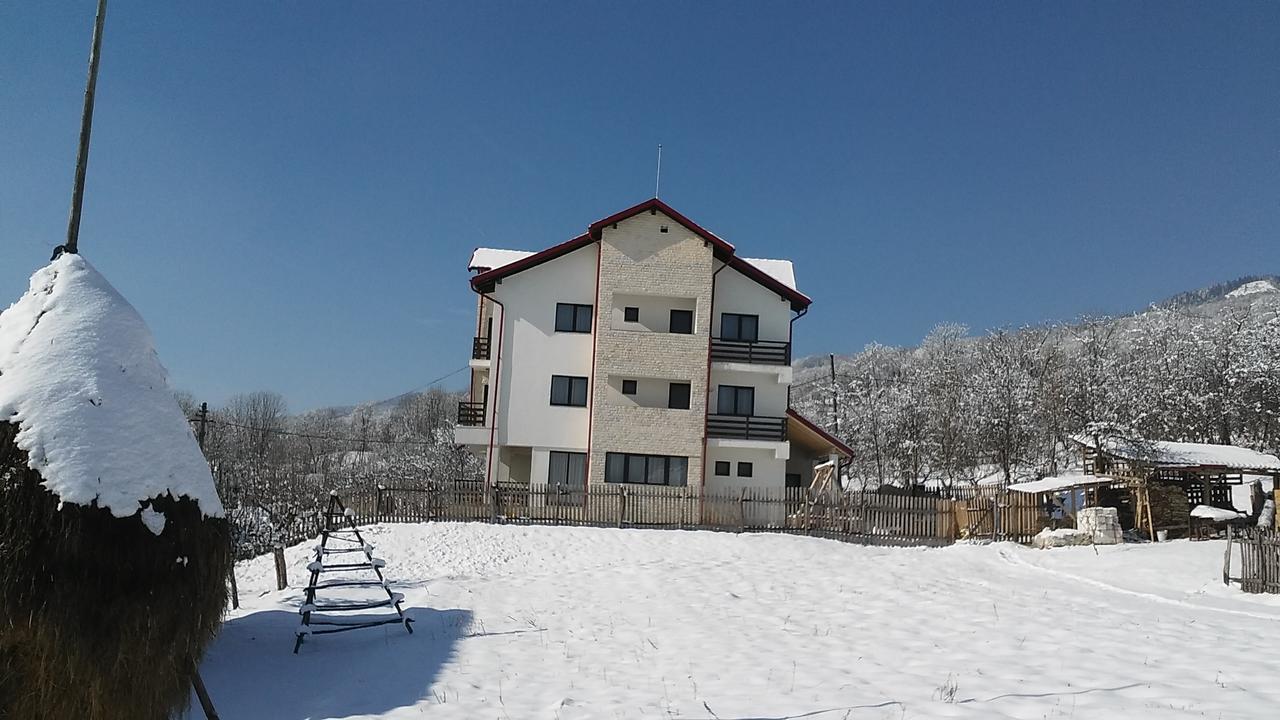 Pensiunea Drumul Voievozilor 아레푸 외부 사진